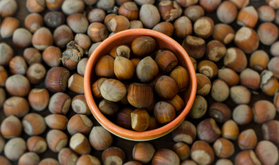 hazelnut background with natural light