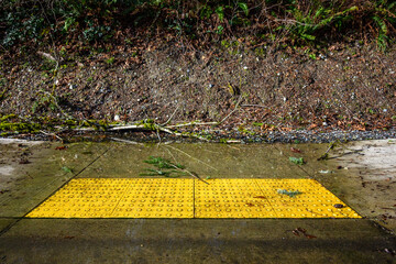 After the storm, floodwater and storm debris on a sidewalk disabled curb ramp on a sunny day
