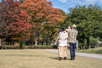 Fototapeta premium 秋の公園で遊ぶ家族・ファミリー 