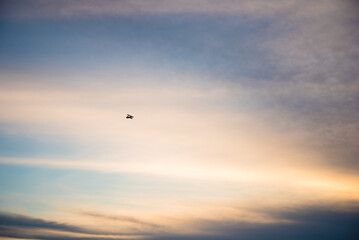 independence small plane flying through the sunset in key west