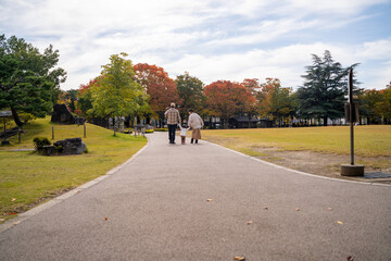 秋の公園で遊ぶ家族・ファミリー（後ろ姿）