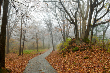 The beautiful autumn landcsape of Jinlong Mountain of Harbin, China.