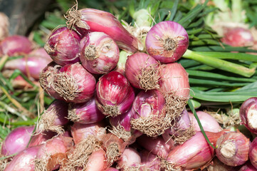 Bunch of red onions
