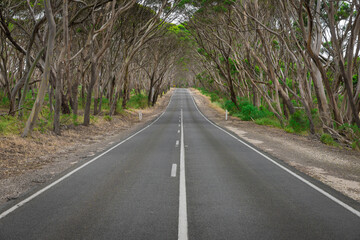 Kangaroo Island rural road South Australian landscape in remote area.
