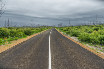 Fototapeta na wymiar Kangaroo Island rural road South Australian landscape in remote area.