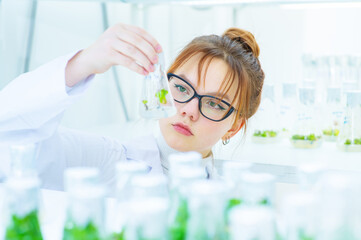 In a biological laboratory, a girl assistant examines a test tube with plants grown in it on a...