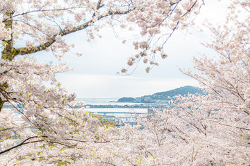 紀三井寺から見た景色と海
