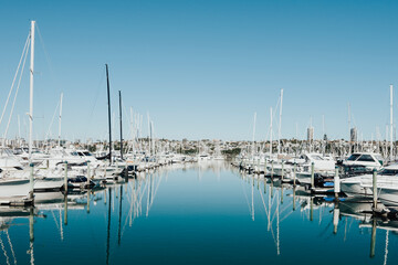 boats in the harbor