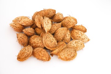 Almond nut in shell isolated on white background
