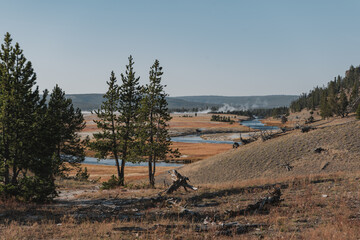 river in the meadows yellowstone national park
