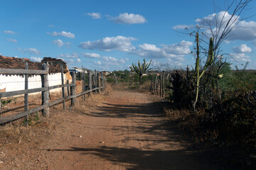 Road path with dirt and dry vegetation