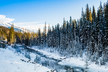 Fototapeta na wymiar Beautiful winter view of the Maligne River in Jasper National Park, Canada