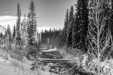 Black and white photography of the Maligne River in Jasper National Park, Canada