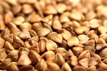 brown buckwheat grains close-up 
