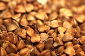 uncooked brown buckwheat grains close-up