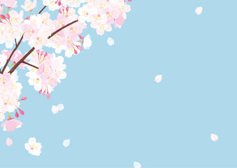 桜 背景イラスト Wall Mural April April Wallpaper Murals Perori