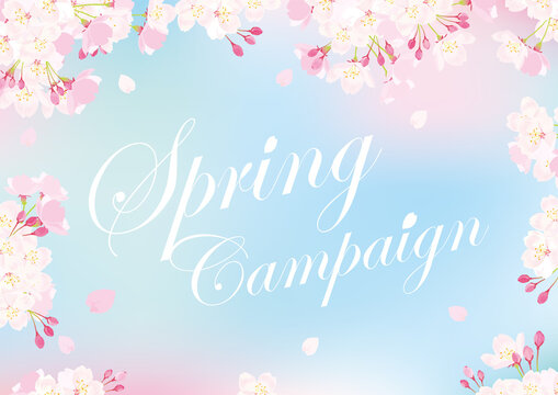 桜　スプリングキャンペーンイメージイラスト