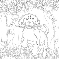 Adult coloring page,book a cute isolated dog,image for relaxing.Zen art style illustration.
