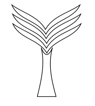beautiful plant picture with white background