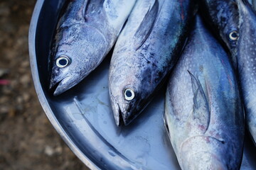 Obraz premium Fresh fish in the market