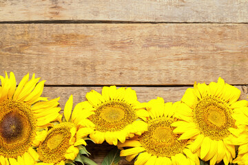 Obraz premium Beautiful sunflowers on wooden background