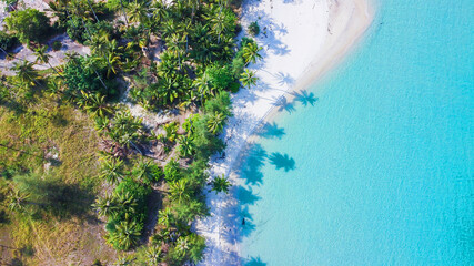 Beautiful aerial view serenity exotic sea shore white sand beach coconut tree and green palm tree on Koh Kood Thailand.