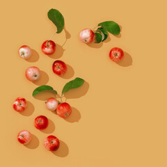 Fresh small red apples and green leaves with dark shadows on honey dijon colored background