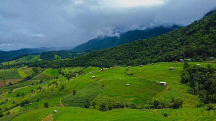 Obraz premium Beautiful landscape view of rice terraces and house at chiang mai , Thailand.