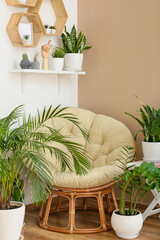 Armchair and houseplants in interior of room
