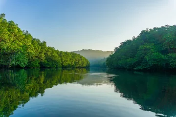  Beautiful natural scenery of river in southeast Asia tropical green forest. © Chalearmrat