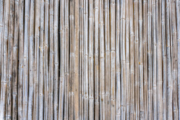 Old bamboo fence background and texture.