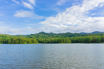 Fototapeta premium Beautiful natural scenery of river in Khao Yai tropical green forest.