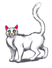 Scared white cat. Ink and watercolor sketch