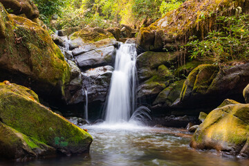 Beautiful waterfall deep in the tropical forest.