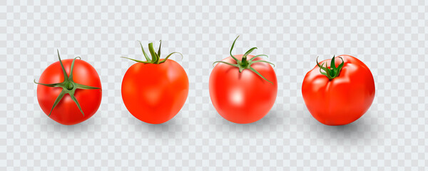Tomato set. Red tomato collection. Photo-realistic vector tomatoes on transparent background.