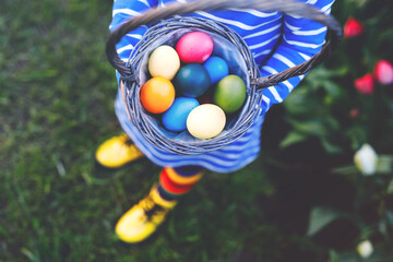 Close-up of of hands of toddler holding basket with colored eggs. Child having fun with traditional...