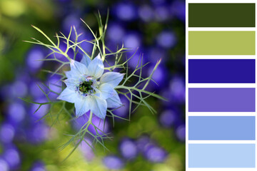 blue and green colour shade guide with summer flower