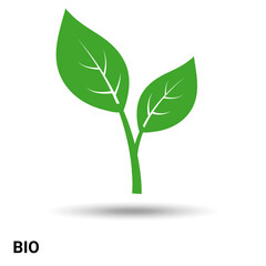 Bio. Green leaf isolated on a light background. Vector illustration.