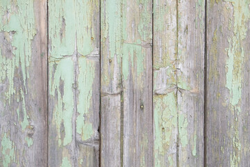 Old wooden door background. Vintage texture. 