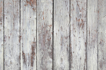 Old wooden door background. Vintage texture. 