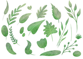 set leaf digital watercolour. collection of leaves. Texture with flowers and plants. Floral ornament. Hand-drawn watercolour leaves collection. Greenery Floral Design elements. It's perfect for cards
