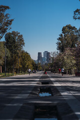 urban park with mexico city background