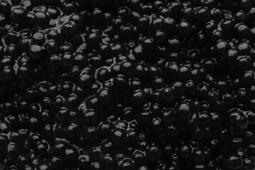 Fresh black caviar on whole background, close up