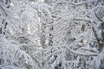 Fichtelgebirge Wintersport am Ochsenkopf Skilift Sendeturm