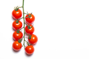 Cherry tomatoes branch isolated on white background . Red tomato. Tomatoes on a branch. Isolated background. Article about vegetables. Decoration. Copy space.