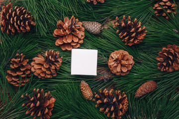 Evergreen pine branches, green pine needles texture, fir cones natural background. Christmas, New Year, deforestation concept. Paper sheet mock up.