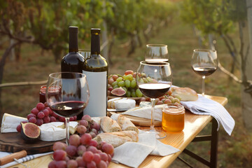 Red wine and snacks served for picnic on wooden table outdoors