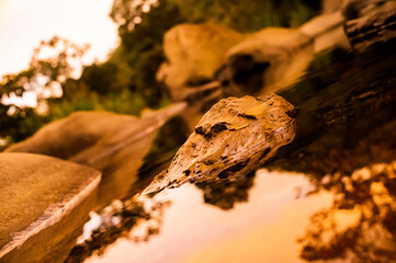 Stone in the river