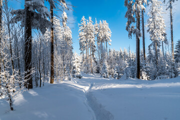 Winter mountain scenery with lot of snow, frozen trees, hiking trail and blue sky in Moravskoslezske Beskydy mountains on czech - slovakian borders