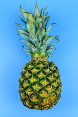 Whole ripe pineapple on the blue background